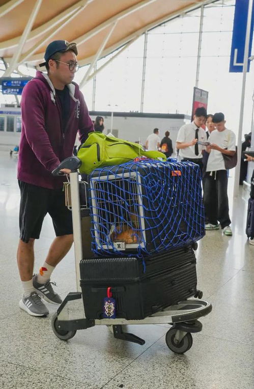 上海出境游迎來新紀元 國內首架包機從浦東出發